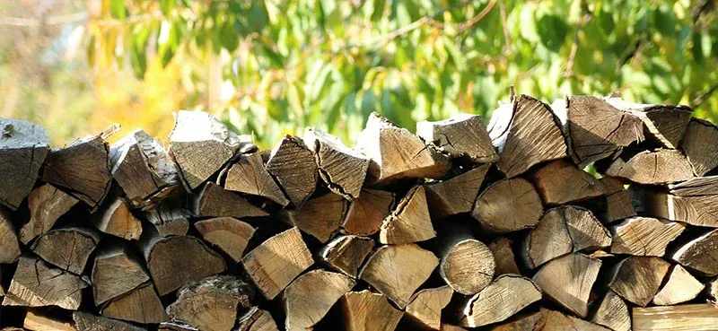 Měkké jehličnaté dřevo
