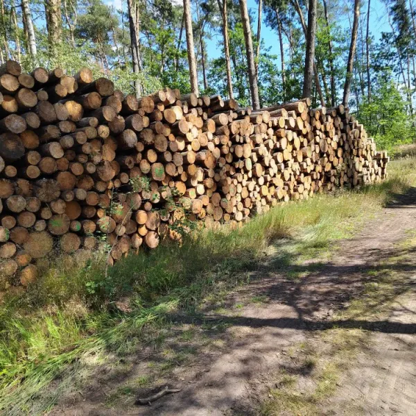 Palivové dřevo Pardubice, Chrudim a okolí